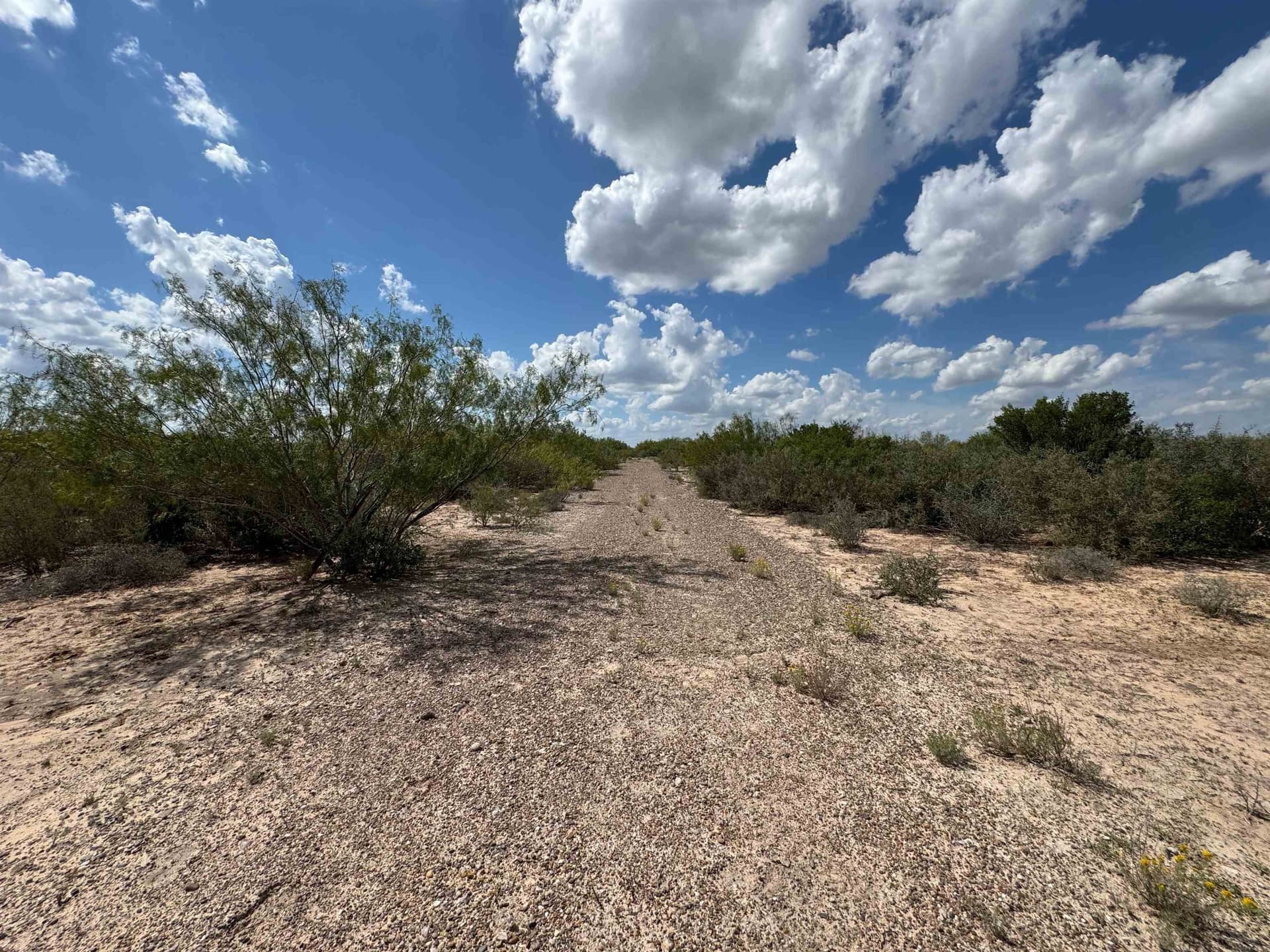 54 acres in Webb County - photo 4