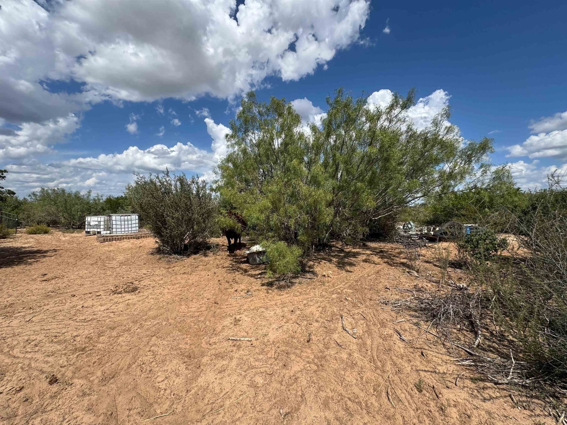 54 acres in Webb County - photo 10