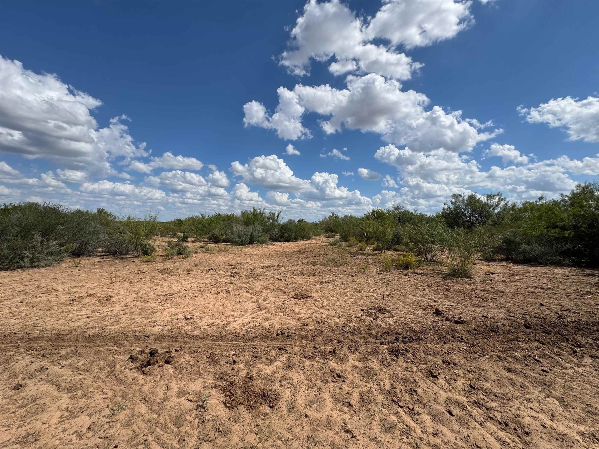 54 acres in Webb County - photo 20