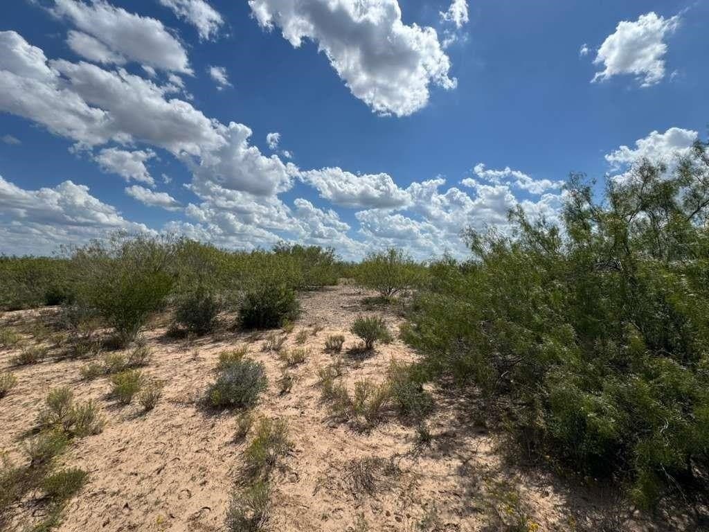 54 acres in Webb County - photo 22