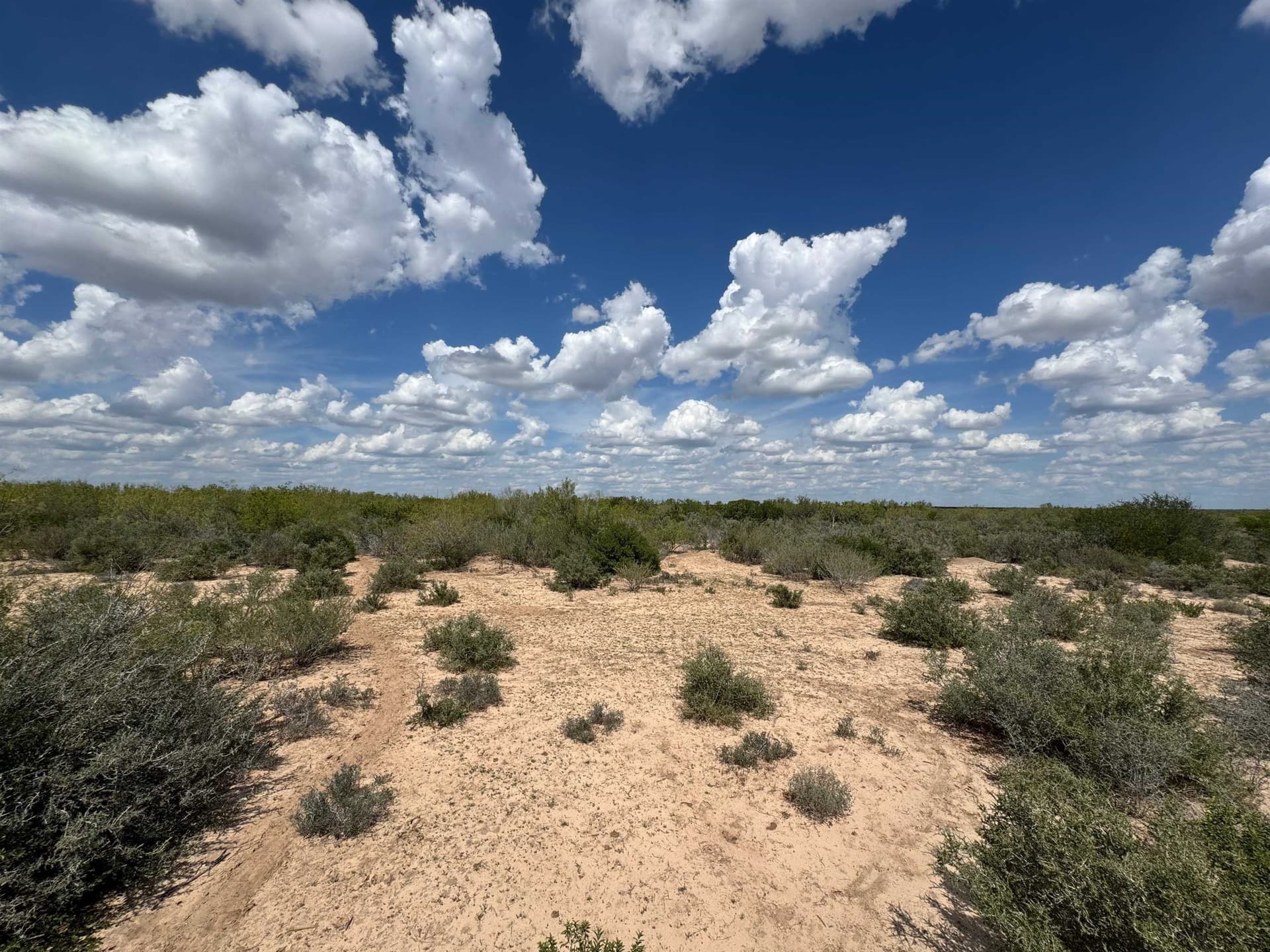 54 acres in Webb County - photo 6