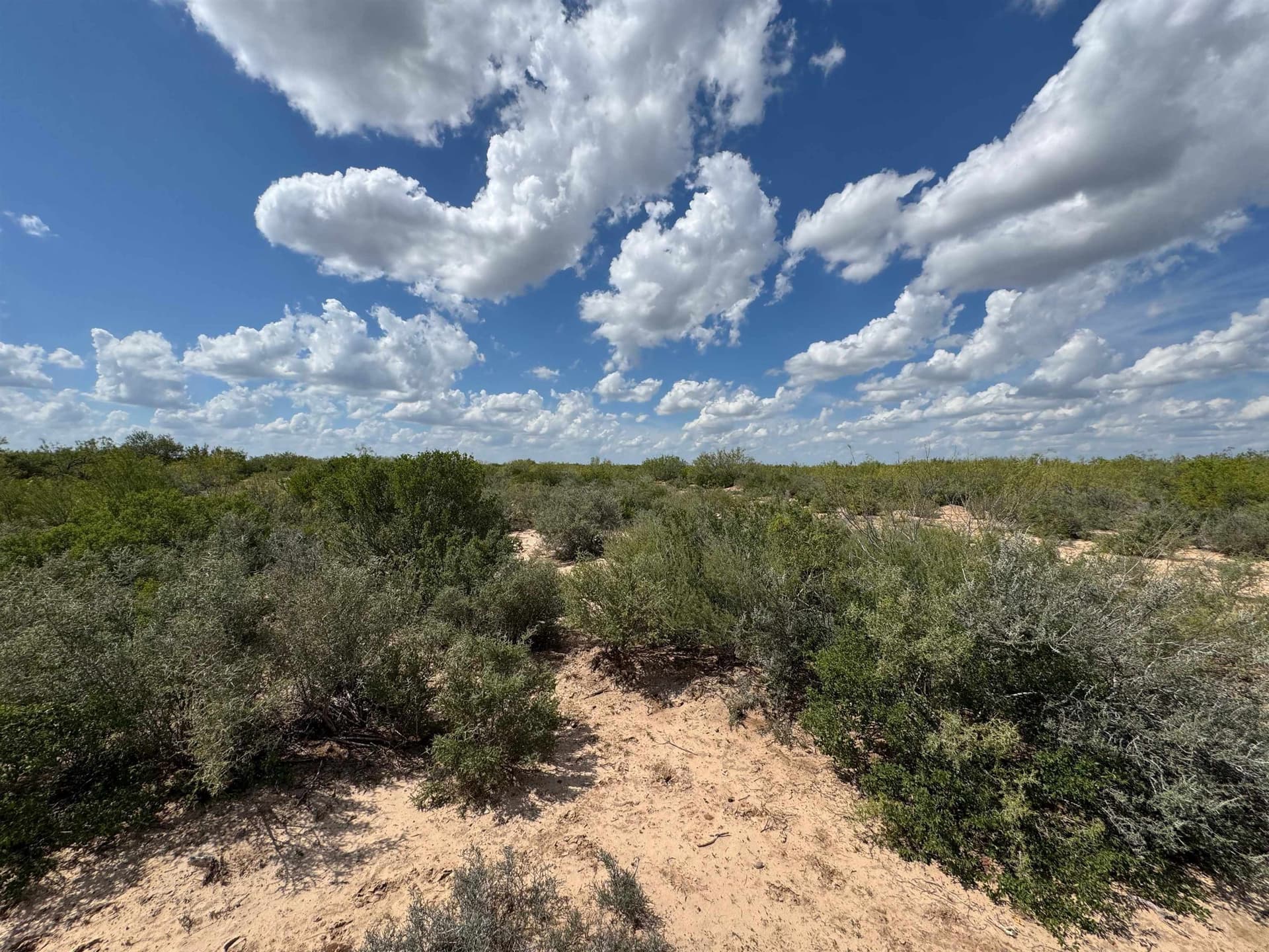 54 acres in Webb County - photo 7