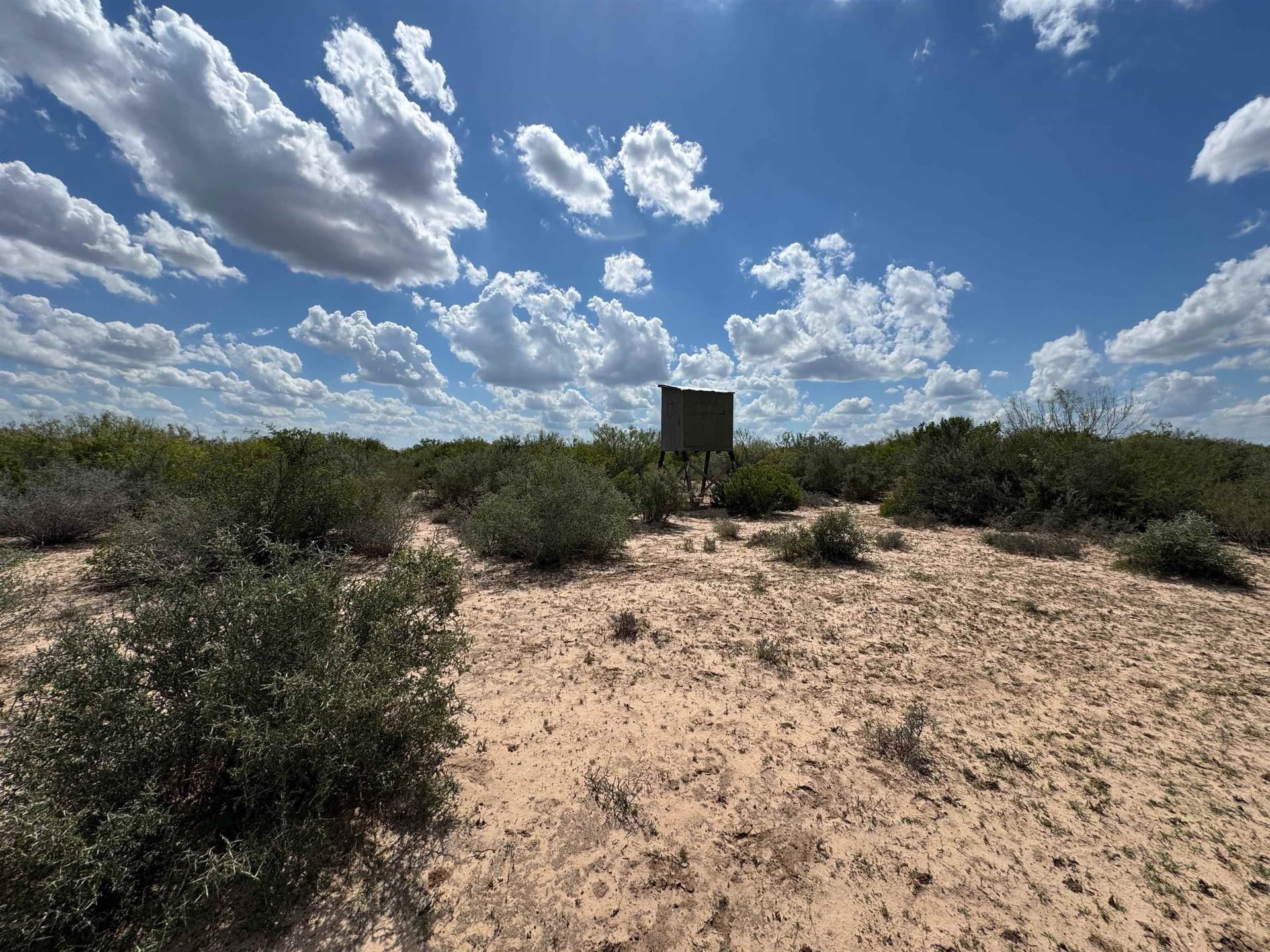 54 acres in Webb County - photo 8