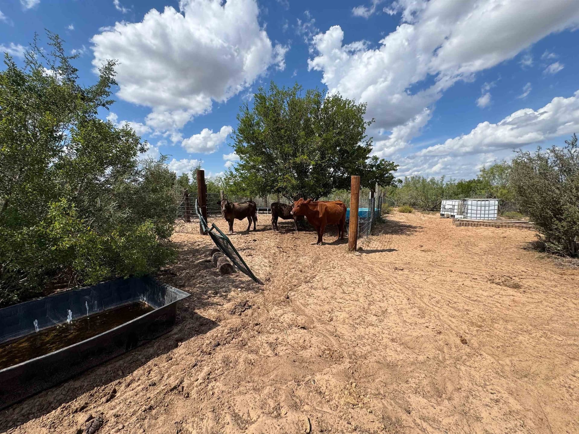 54 acres in Webb County - photo 11