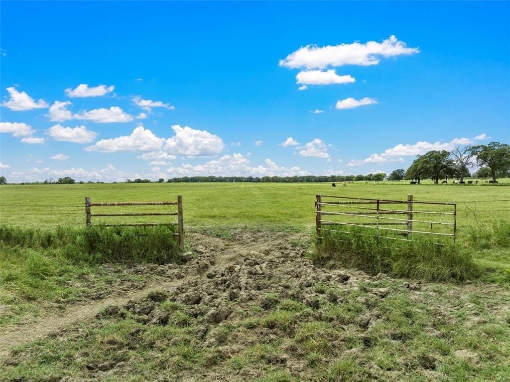 190 acres in Hill County - photo 17