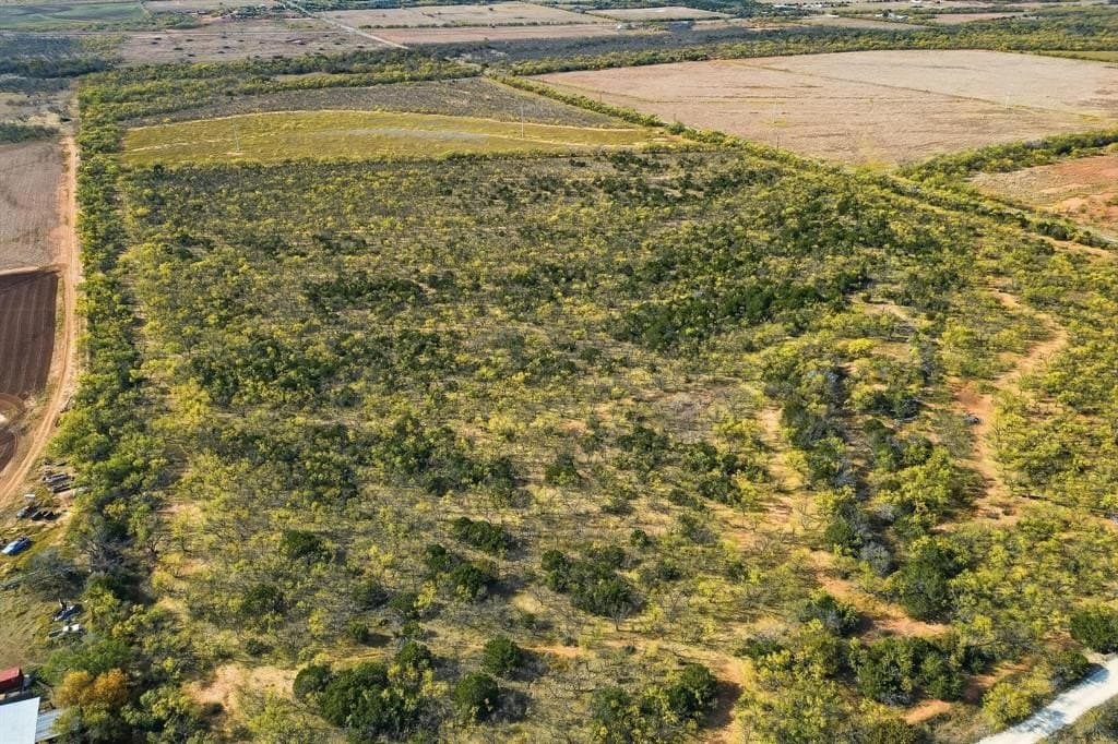 80 acres in Taylor County - photo 3