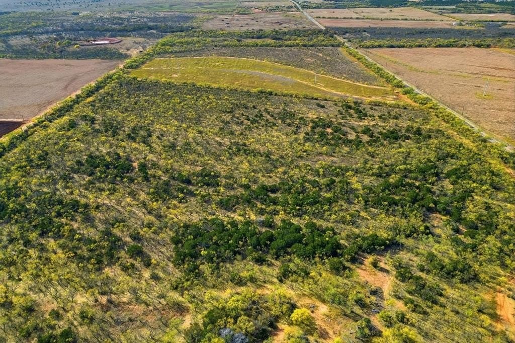 80 acres in Taylor County - photo 5