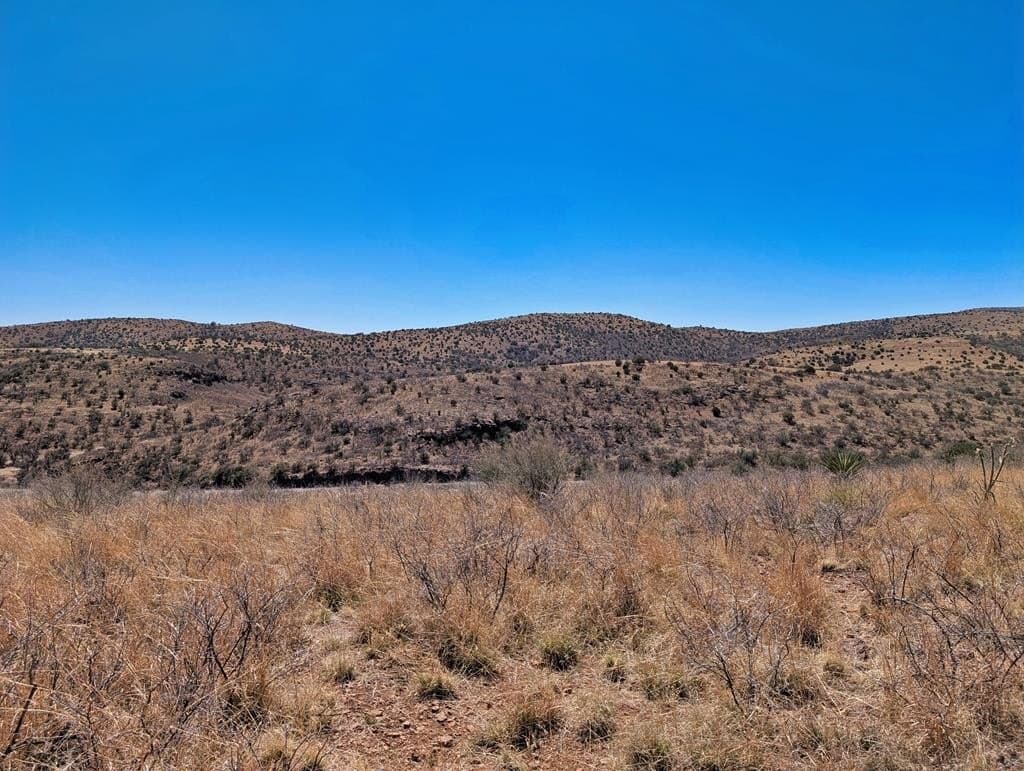 32.94 acres in Jeff Davis County - photo 62