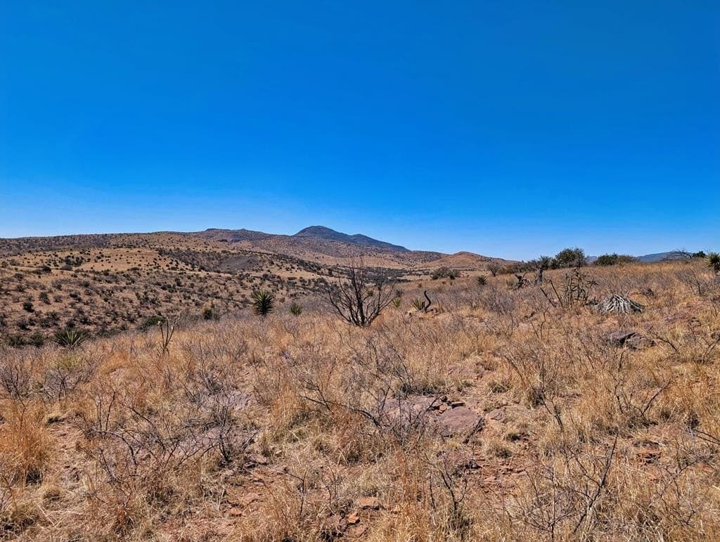32.94 acres in Jeff Davis County - photo 63