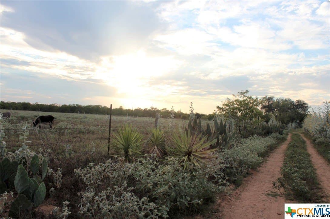 1 acres in Gonzales County - photo 10