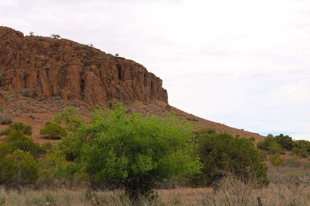 6.54 acres in Brewster County - photo 8