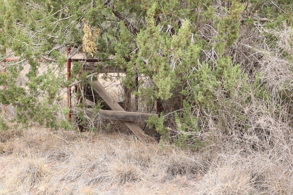6.54 acres in Brewster County - photo 10