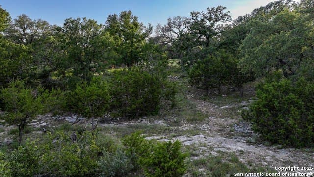 20.06 acres in Blanco County - photo 25
