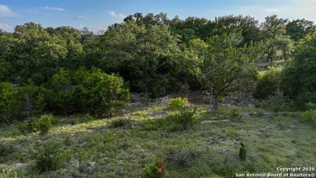 20.06 acres in Blanco County - photo 24