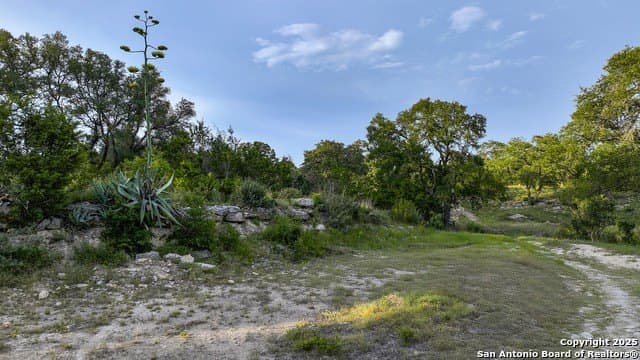 20.06 acres in Blanco County - photo 19
