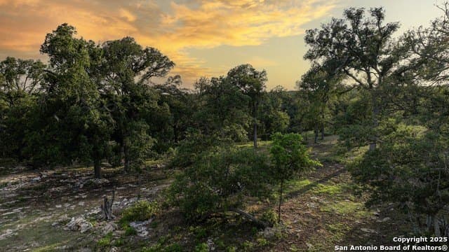 20.06 acres in Blanco County - photo 36