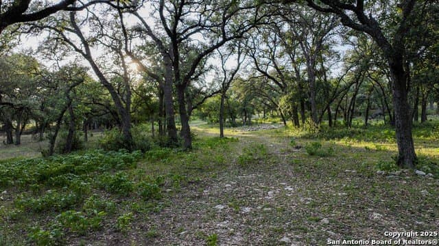 20.06 acres in Blanco County - photo 33