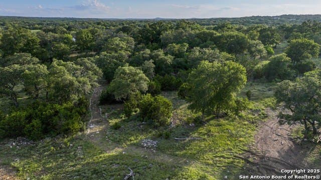 20.06 acres in Blanco County - photo 11