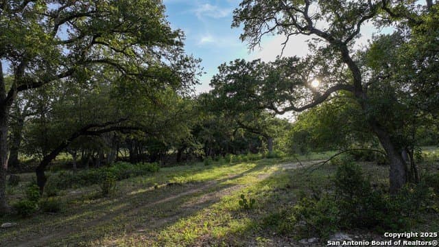 20.06 acres in Blanco County - photo 28