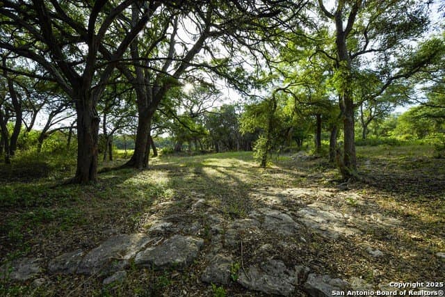 20.06 acres in Blanco County - photo 22