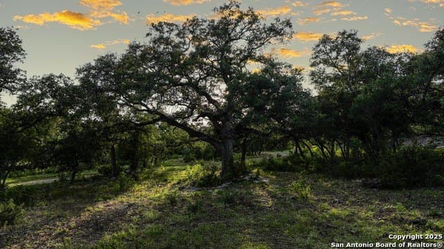 20.06 acres in Blanco County - photo 37