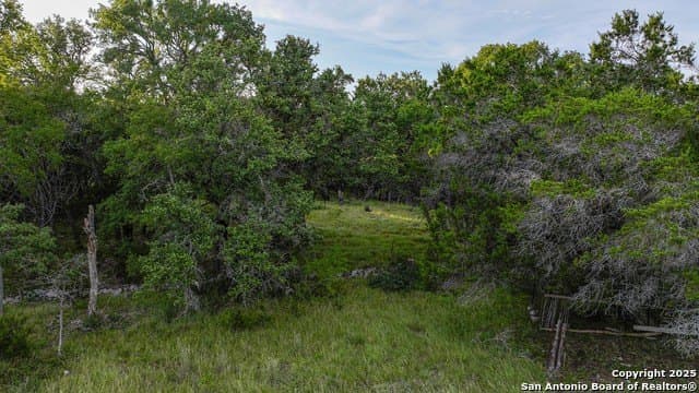 20.06 acres in Blanco County - photo 34
