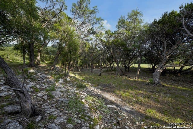 20.06 acres in Blanco County - photo 20