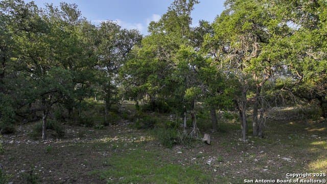 20.06 acres in Blanco County - photo 26