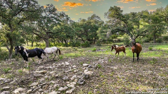 20.06 acres in Blanco County - photo 38
