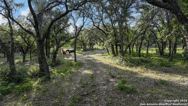 20.06 acres in Blanco County - photo 21