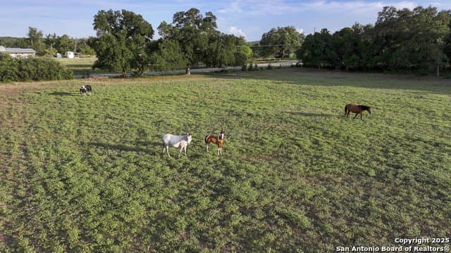 20.06 acres in Blanco County - photo 8