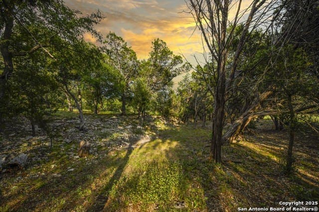 20.06 acres in Blanco County - photo 39