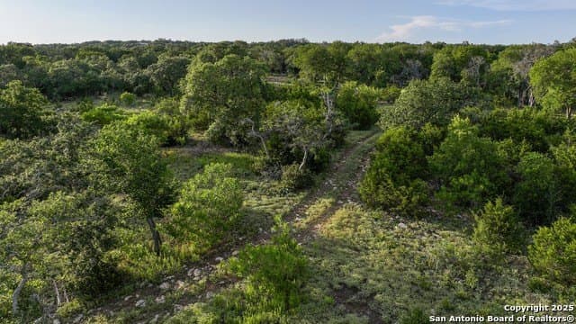 20.06 acres in Blanco County - photo 9