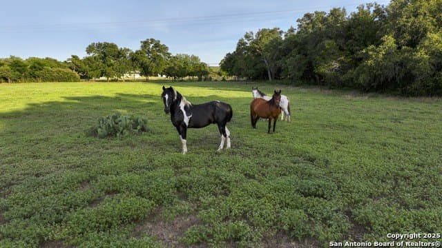 20.06 acres in Blanco County - photo 32