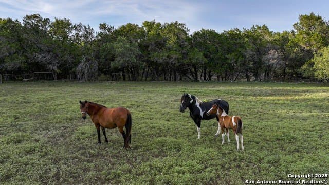 20.06 acres in Blanco County - photo 29