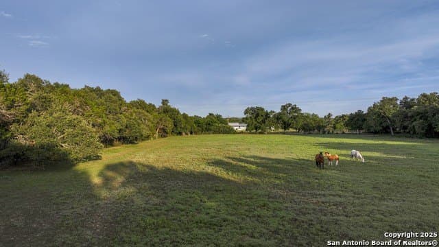20.06 acres in Blanco County - photo 31