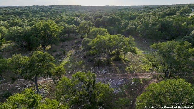 20.06 acres in Blanco County - photo 10