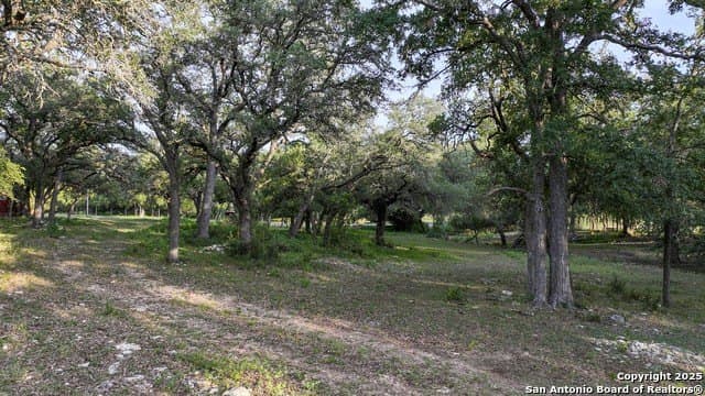 20.06 acres in Blanco County - photo 27