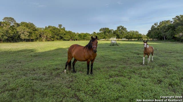 20.06 acres in Blanco County - photo 30