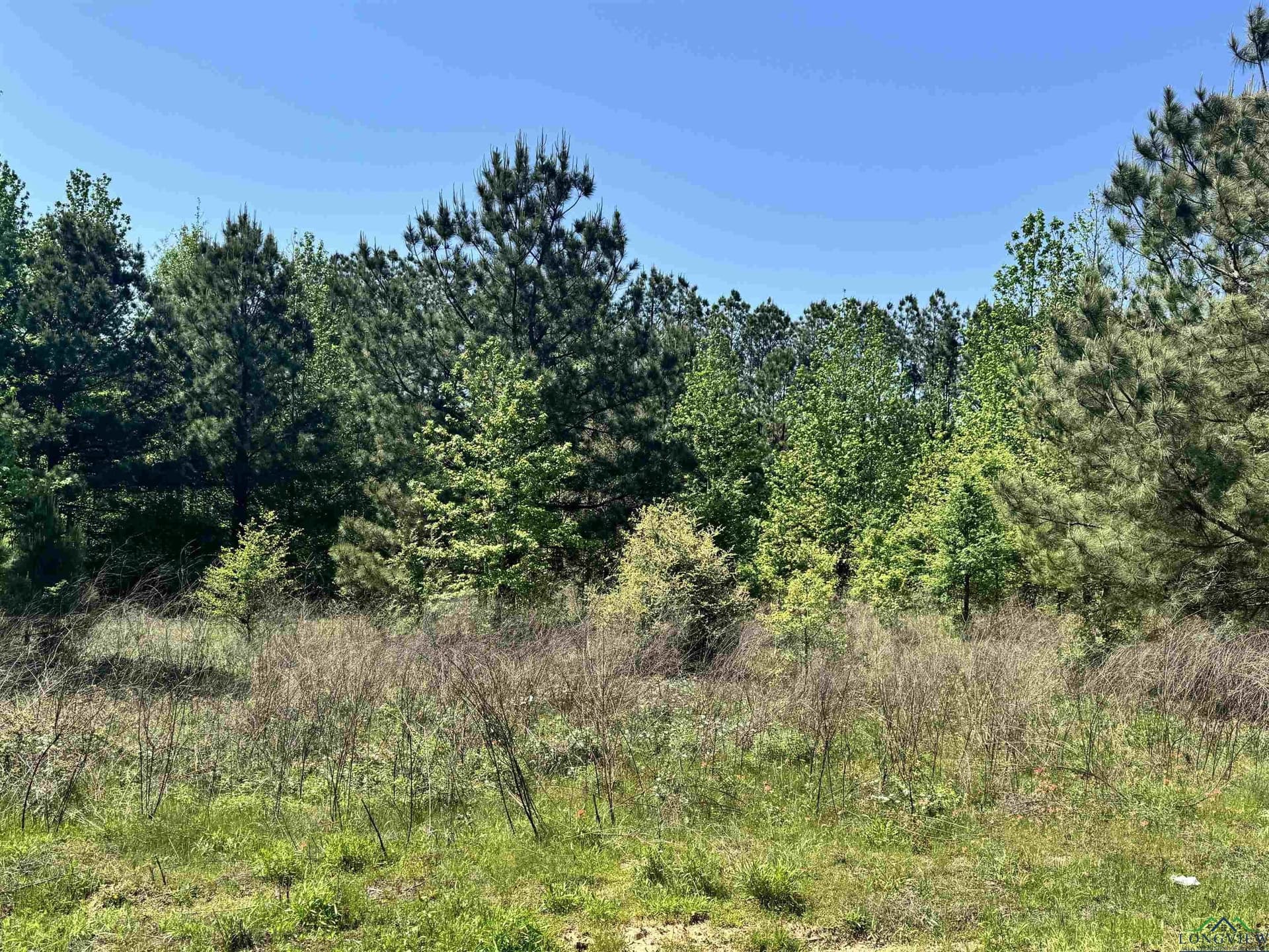 12.58 acres in Rusk County - photo 12