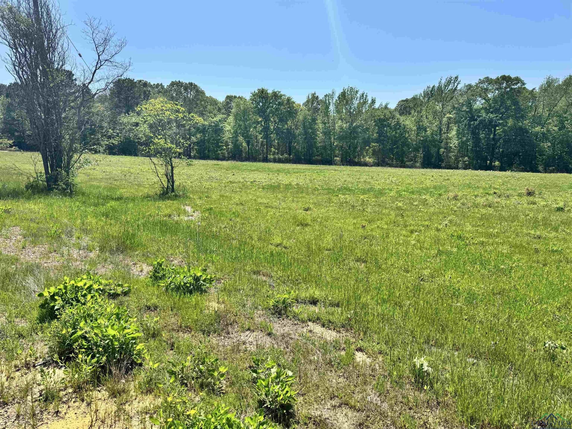 12.58 acres in Rusk County - photo 8