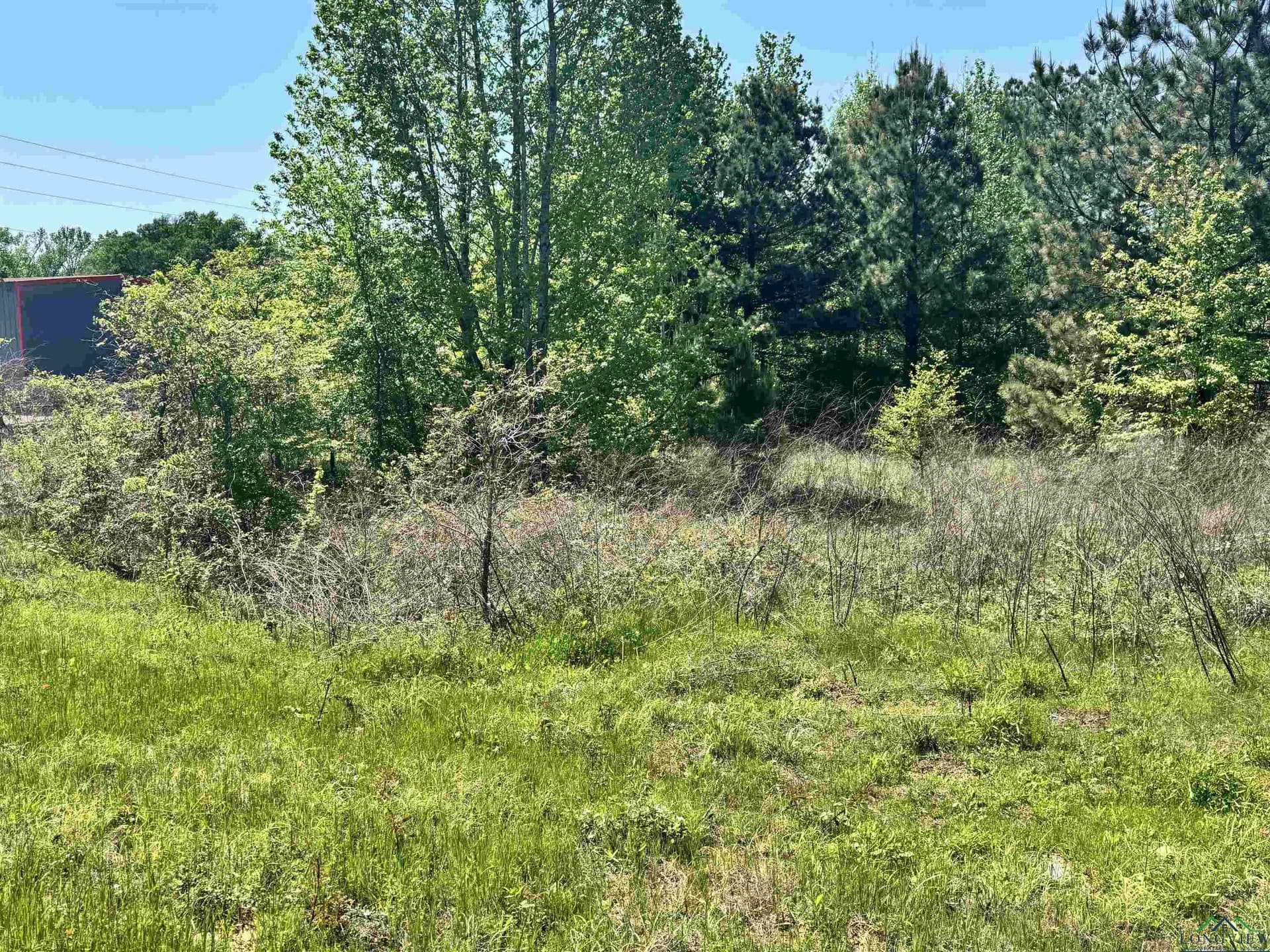 12.58 acres in Rusk County - photo 10