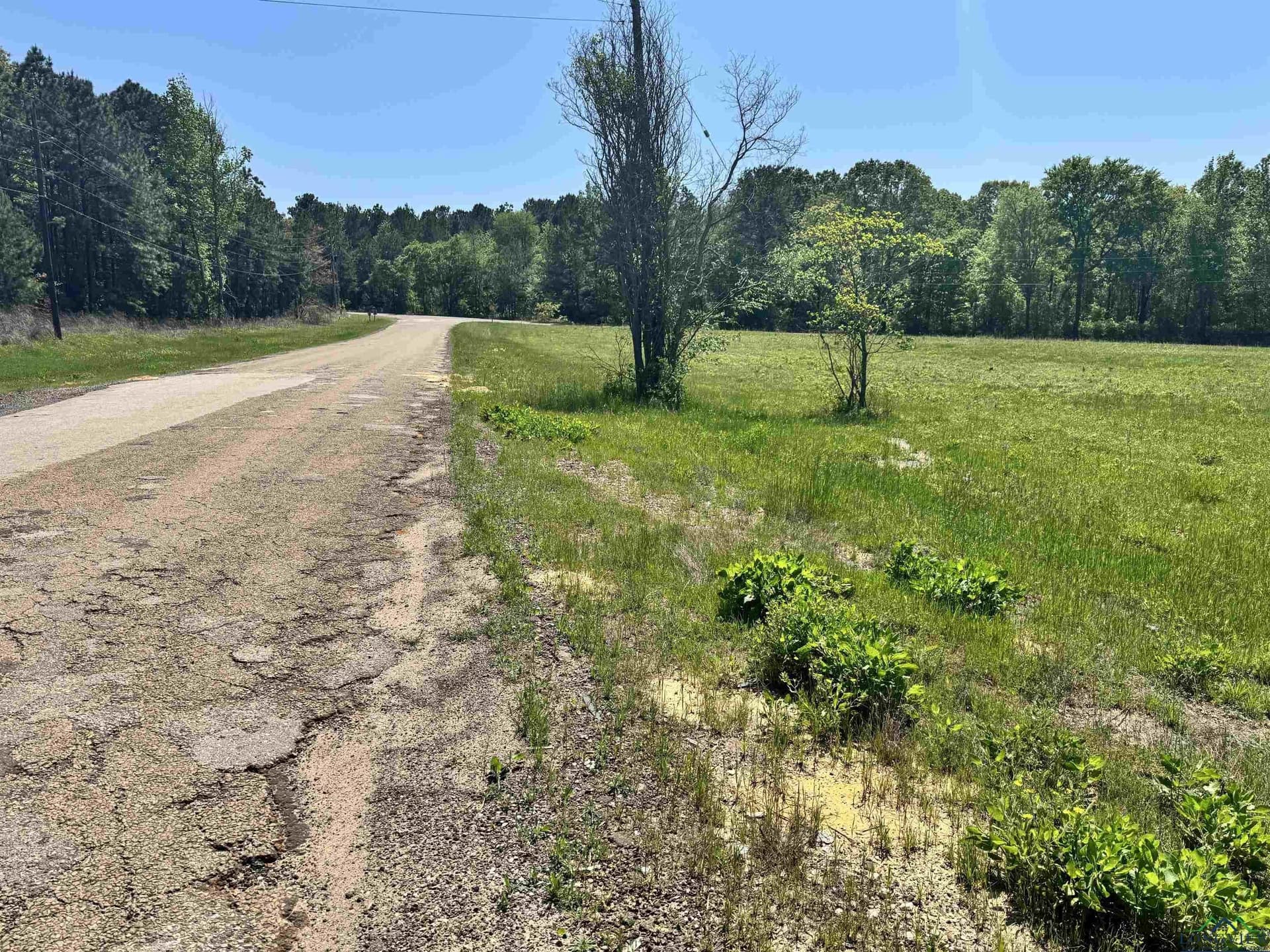12.58 acres in Rusk County - photo 7
