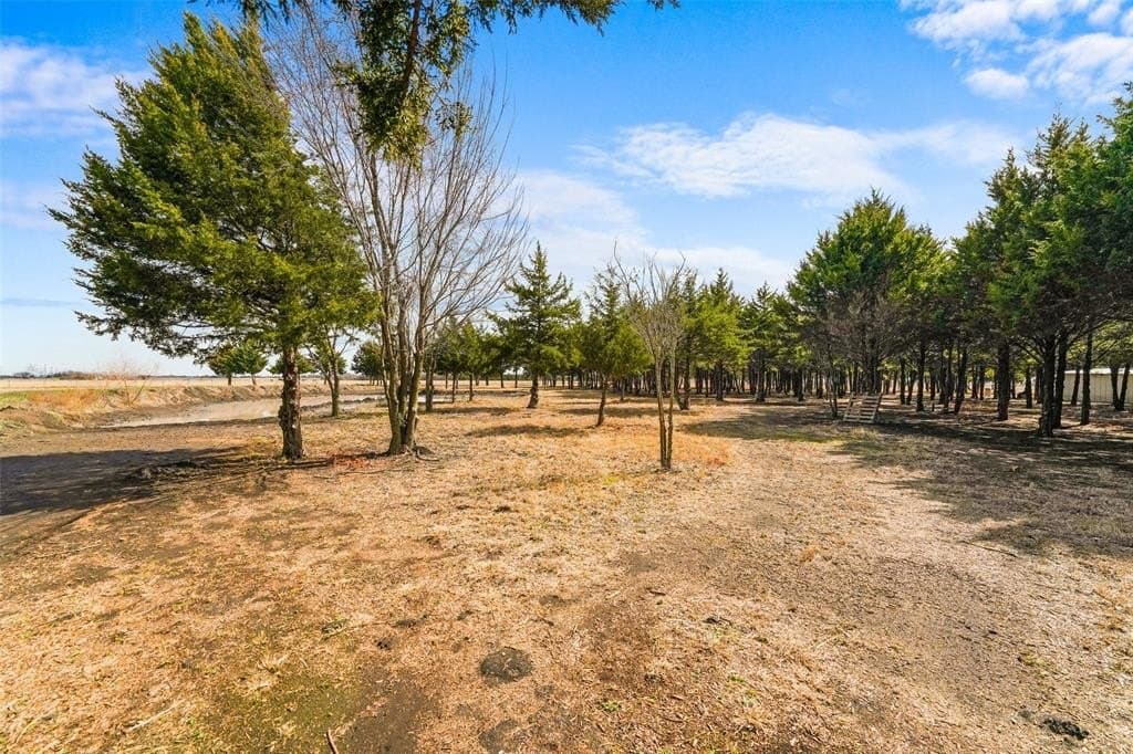 14.11 acres in Dallas County - photo 14