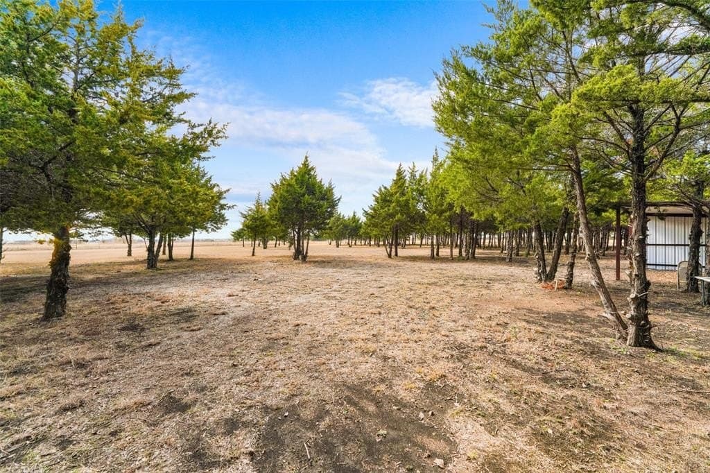 14.11 acres in Dallas County - photo 5
