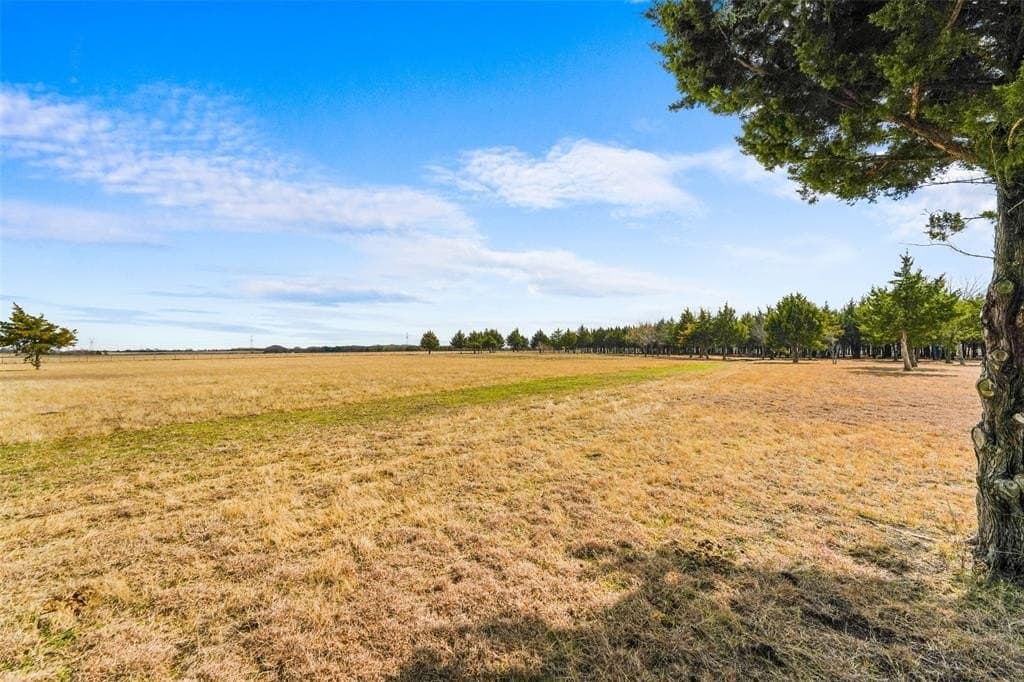 14.11 acres in Dallas County - photo 7