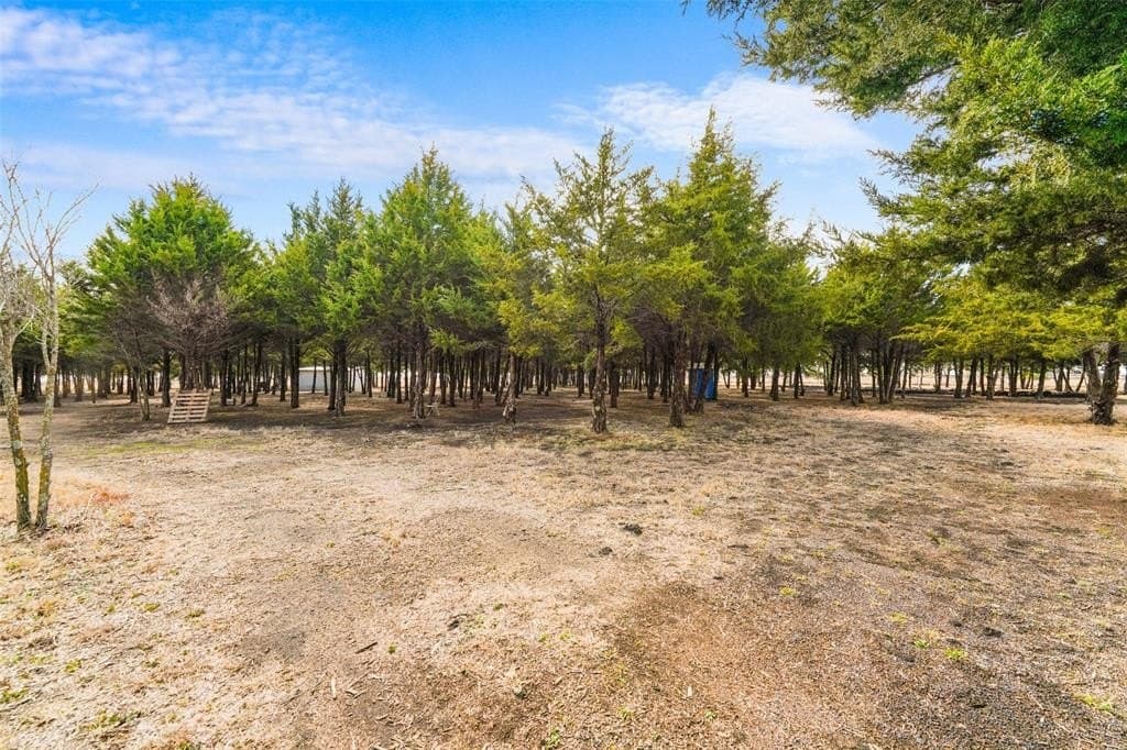 14.11 acres in Dallas County - photo 10