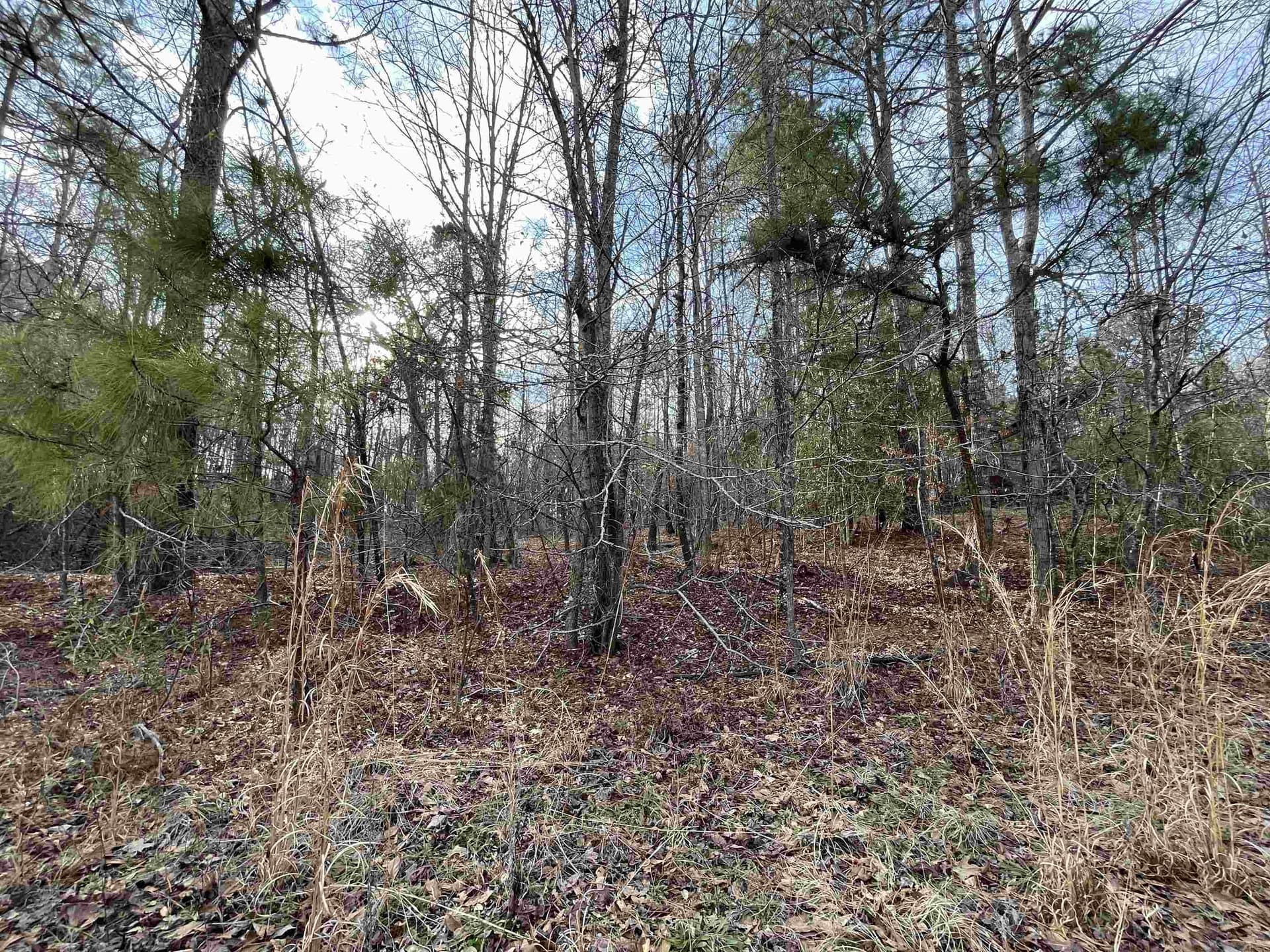 132 acres in Gregg County - photo 26