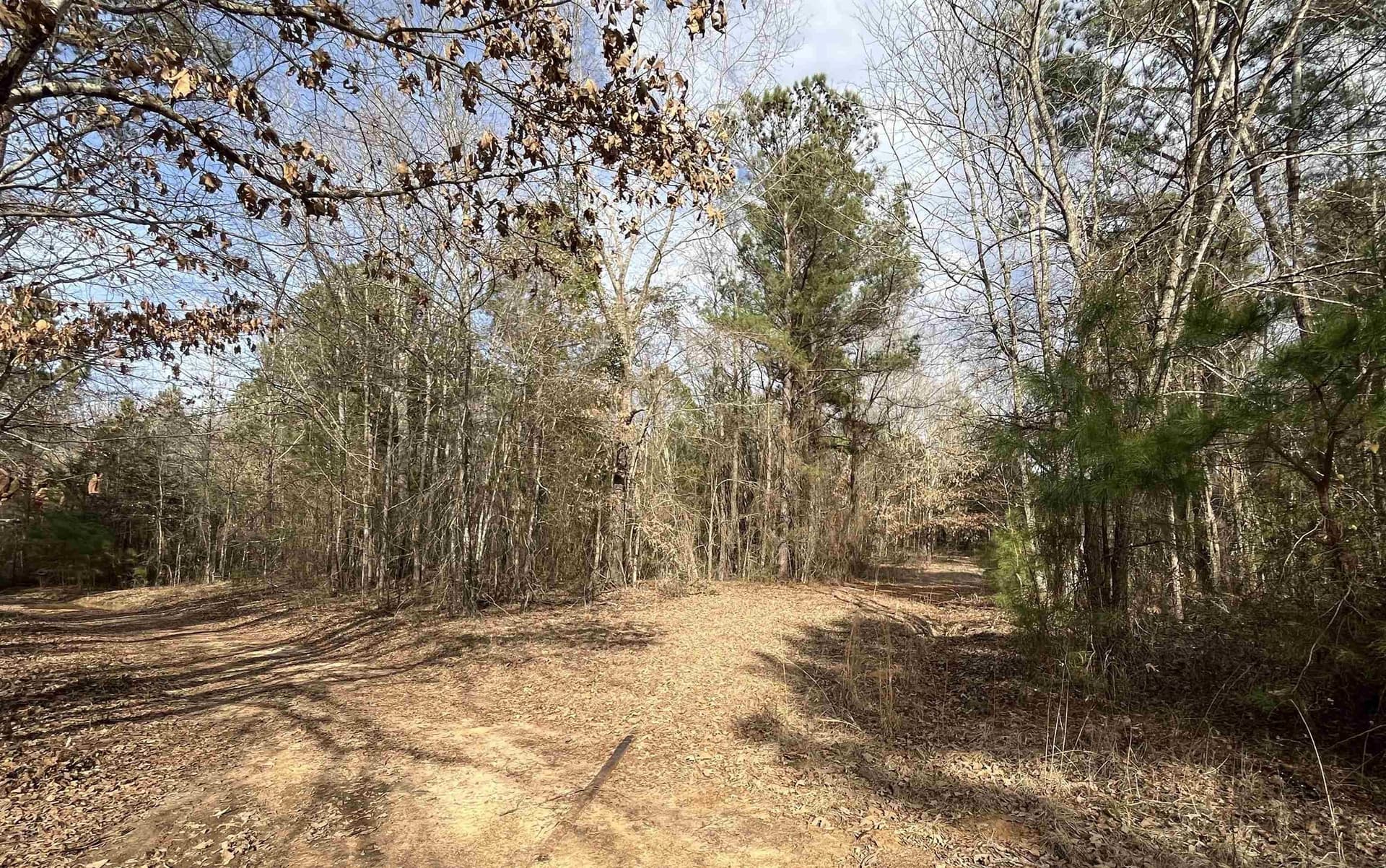 132 acres in Gregg County - photo 27