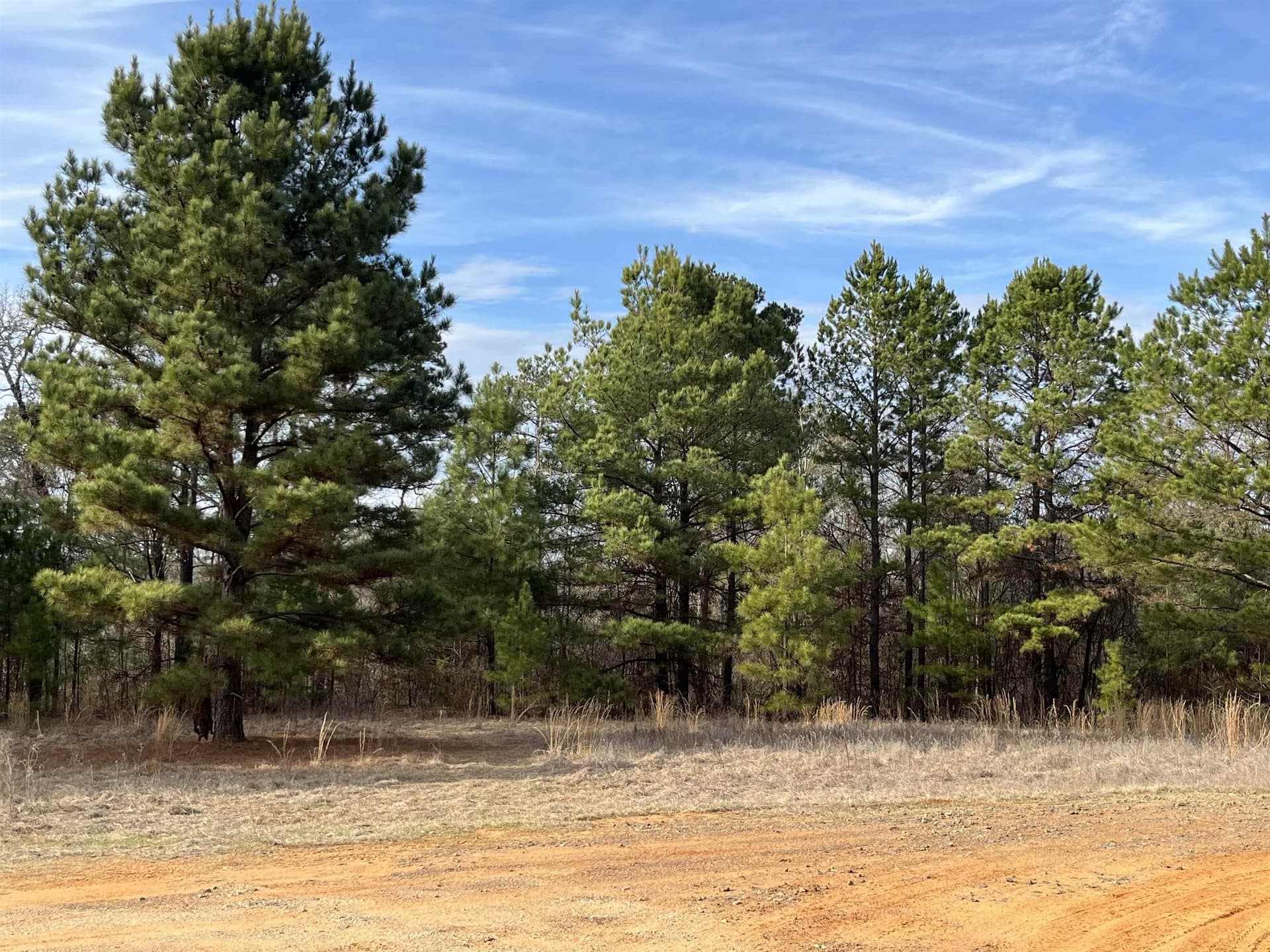 132 acres in Gregg County - photo 11